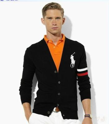 Cheap Ralph Lauren Sweaters wholesale No. 124